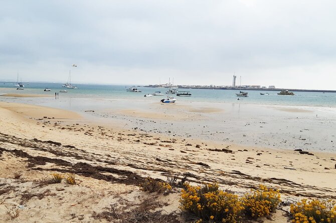 Half-Day Boat Trip to the Ria Formosa Islands - Tips for a Successful Trip