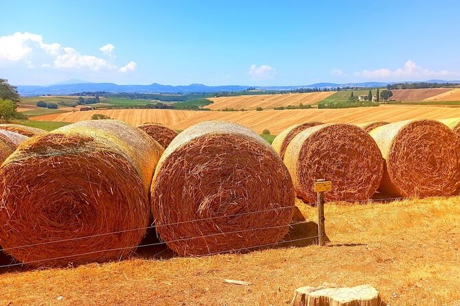 HALF-DAY: Chianti Classic Tour With Wine Experience & Visit of San Gimignano - Reviews and Ratings