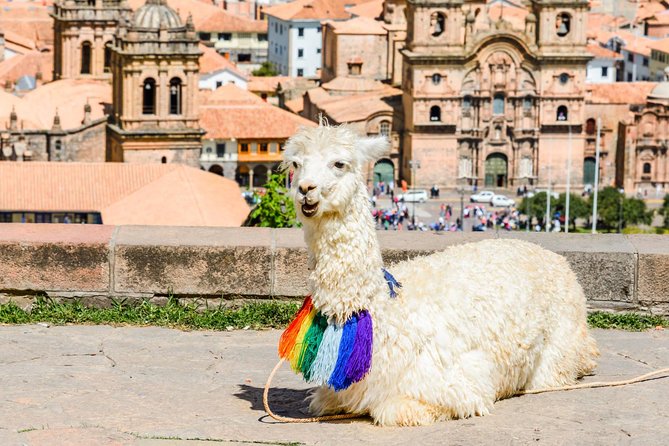 Half-Day Cusco Afternoon City Tour Group Service - Weather Considerations