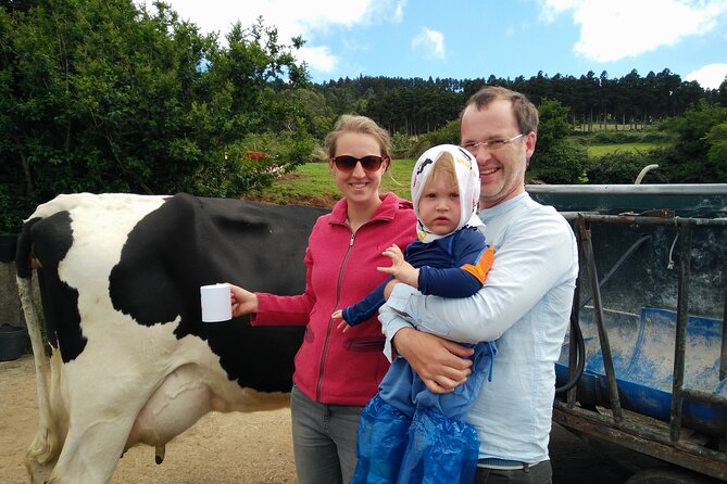 Half-Day Farm Visit and Cow Milking Experience - Unique Experiences Shared