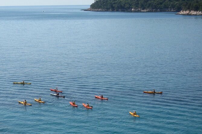 Half Day Guided Zaton Bay Kayak, Swim, and Snorkel Tour in Dubrovnik - Cancellation Policy