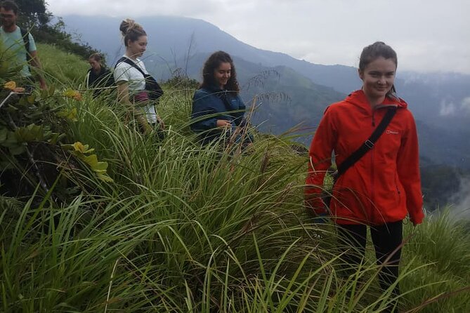 Half Day Hiking in Munnar Trekking Tour - Wildlife Spotting Opportunities