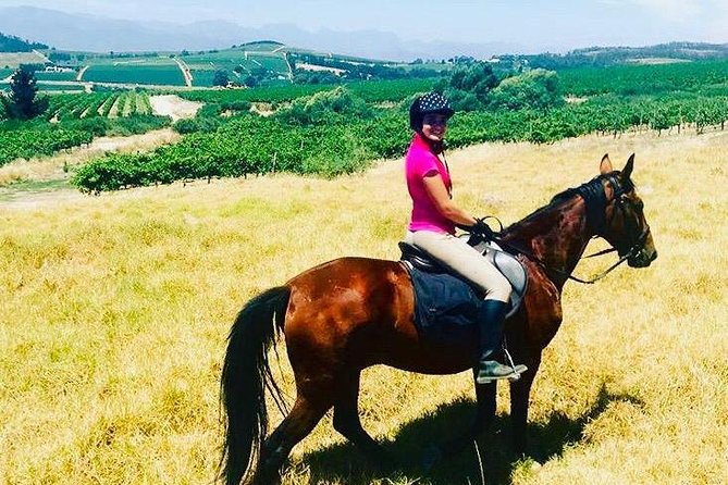 Half Day Horseback Wine Tour - Directions and Logistics