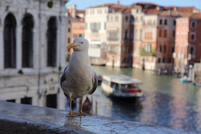 Half Day Photography Workshop in the Magical Venice - Reviews and Feedback