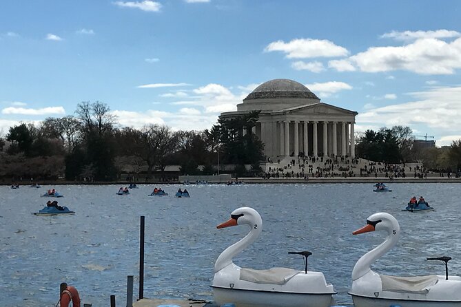 Half-Day Private Guided Bike Tour in Washington - Traveler Experience