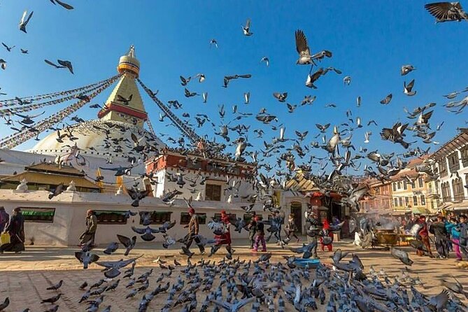 Half Day Sightseeing Tour Kathmandu ( Boudhnath Stupa and Pasupati Temple ) - Tour Inclusions and Exclusions