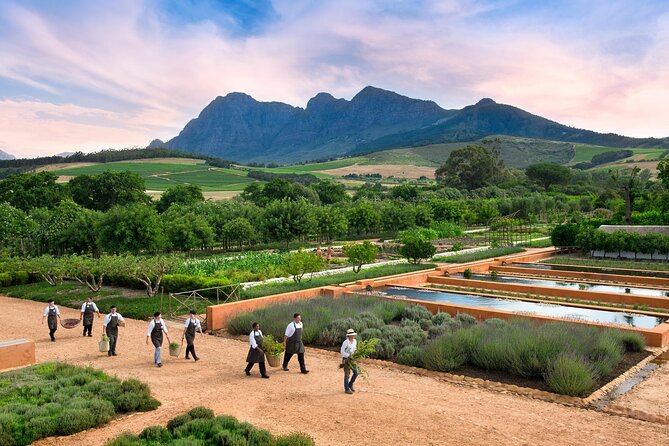 Half Day Stellenbosch Winelands Private Tour From Cape Town - Copyright and Legal Information