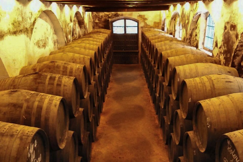 Half-Day Wine Tour in Andalusia - Wine Tasting and Learning Opportunity