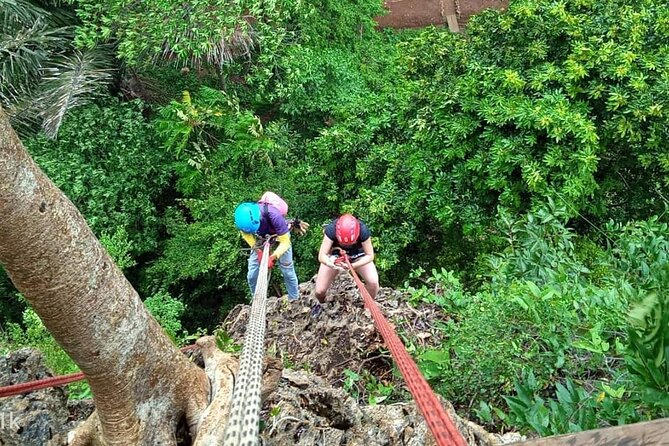 Half Day Zipline and Rainforest Exploration in Krabi - Additional Information