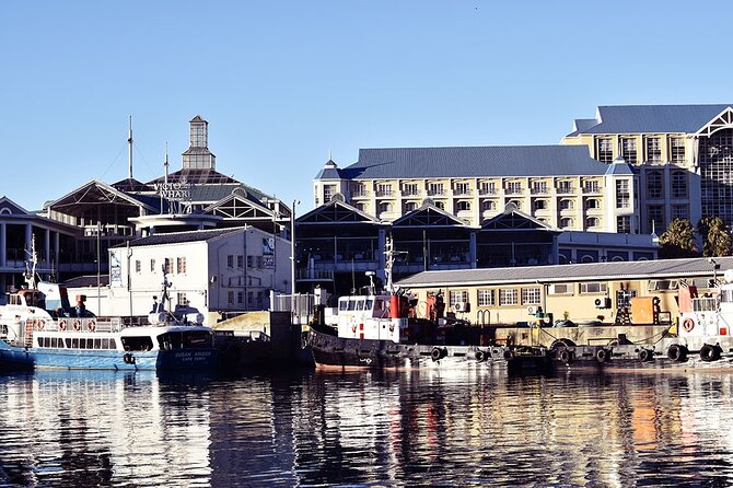 Half Hour Seal and Harbour Cruise From Cape Town - Important Information