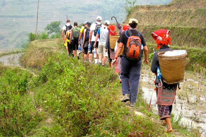 Hanoi- 2 Days Sapa Moutain Trekking With Local Guide and Homestay - Traveler Reviews and Ratings Analysis