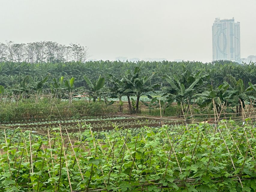 Hanoi Hidden Gems and Highlighted Bicycle Tour - Additional Tour Details