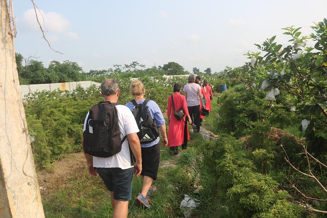 Hanoi Vespa Full Day City & Countryside With Female Ao Dai Riders - Traveler Reviews and Ratings