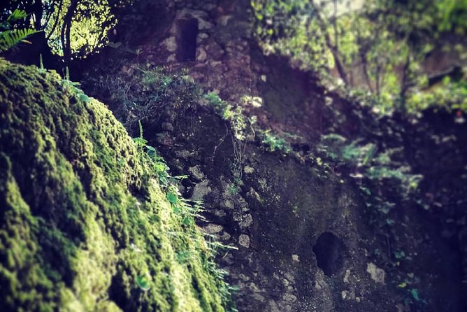 Hans Christian Andersen Memories - Private Sintra Walking Tour - Contact and Pricing Details