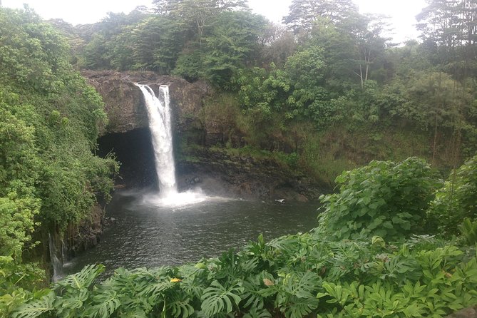 Heavenly Hamakua: From Kona - Traveler Reviews and Ratings