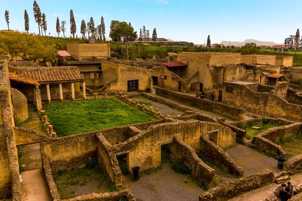 Herculaneum: Private Walking Tour With Archeologist Guide - Includes