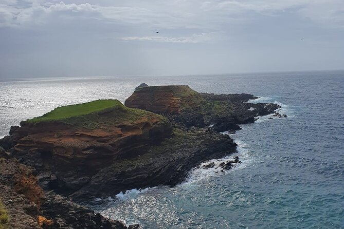 Hike 3 Hours Coast of Terceira Island - Tips for a Memorable Hike