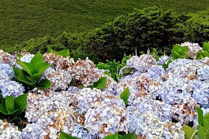 Hike 3 Hours Inland Terceira Island - Common questions