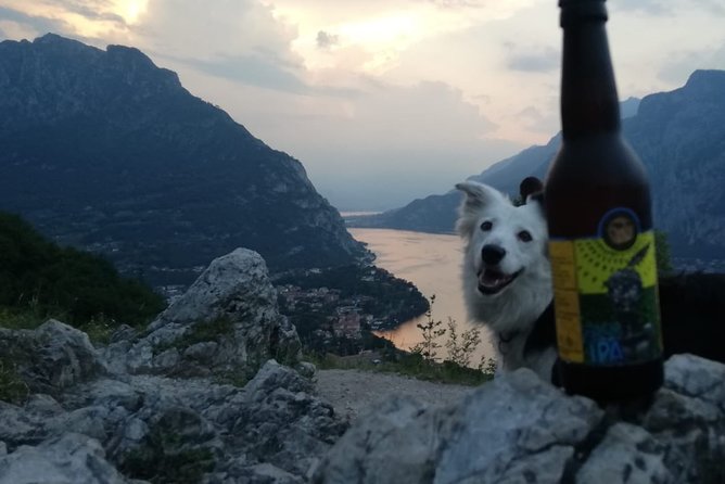 Hike & Beer: Local Craft Beer Tasting, Breathtaking Views With Your Beer on Top - Reviews and Ratings
