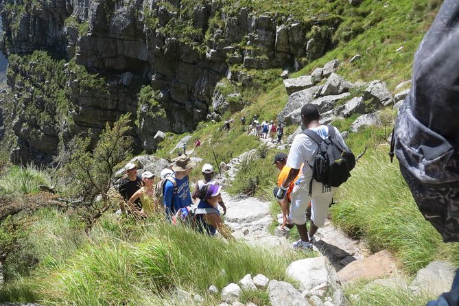 Hiking and Trekking on Table Mountain - Wildlife Encounter Etiquette