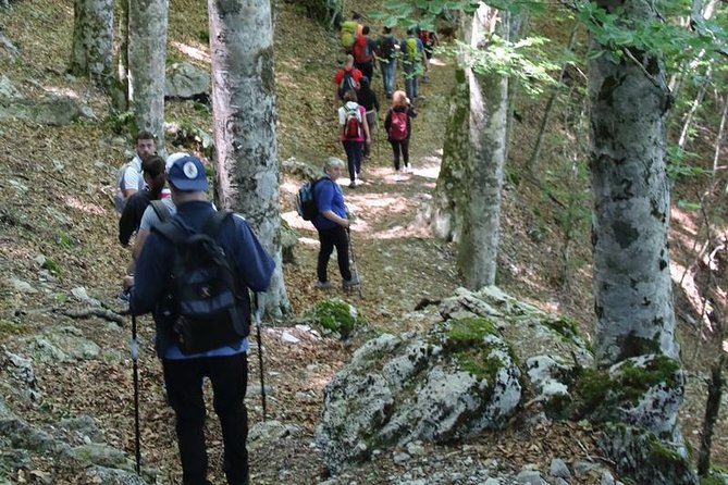 Hiking on Faito Mountain From Sorrento - Traveler Resources and Support