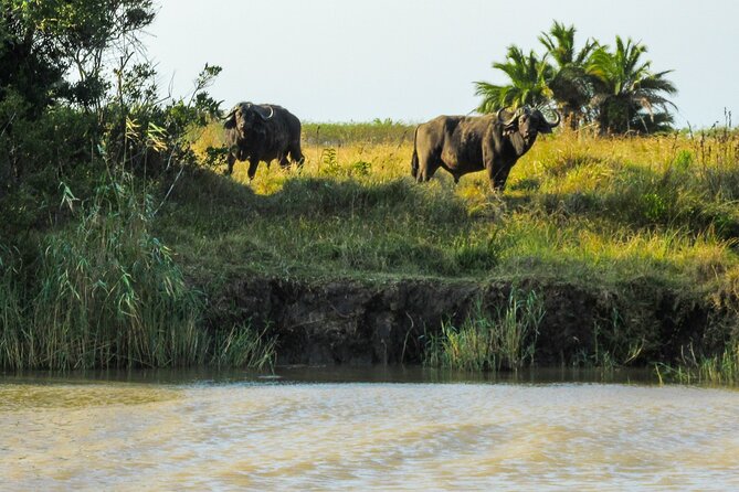 Hippo and Croc Boat Cruise in Saint Lucia With Pick-Up - Booking Confirmation and Accessibility