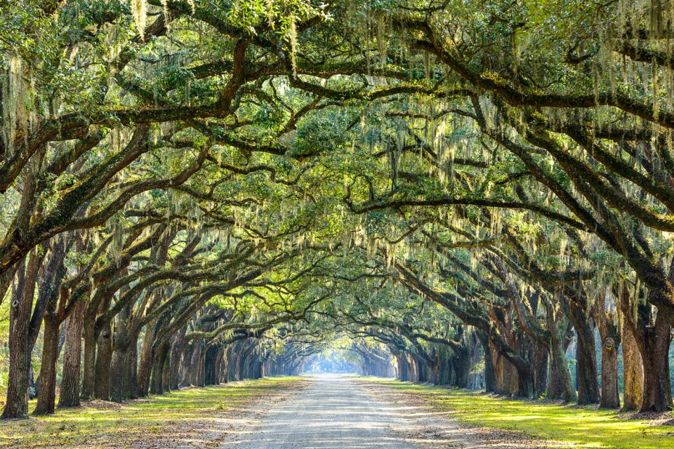 Historic Savannah Walking Tour - Inclusions and Logistics