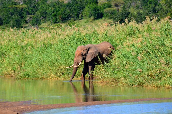 Hluhluwe and Imfolozi Safari Day Tour From Richards Bay - Photo Opportunities