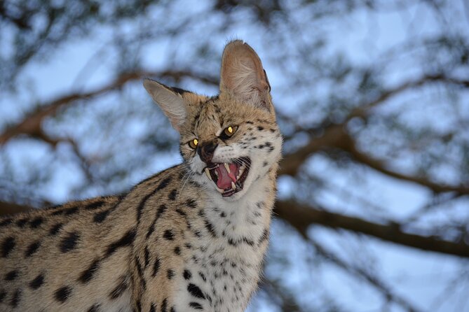 Hluhluwe Safari & Emdoneni Wild Cat Project Day Tour From Durban - Cancellation Policy
