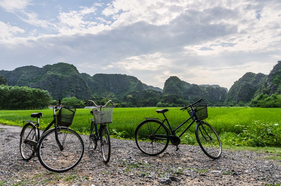 Hoa Lu, Tam Coc, and Mua Cave 1-Day Tour - Last Words