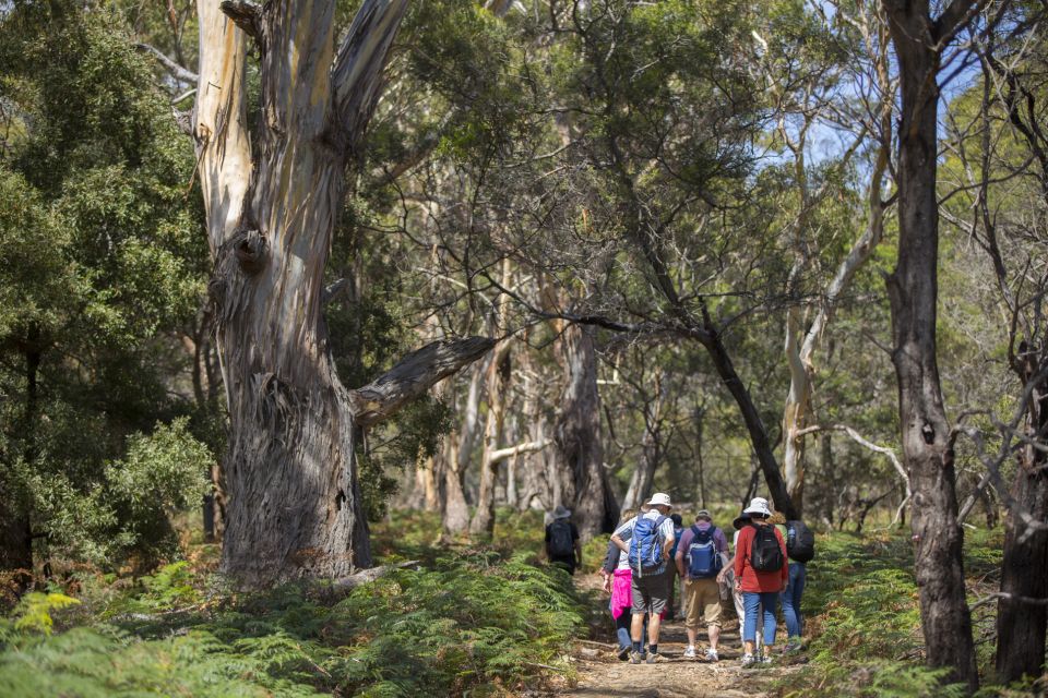 Hobart: Maria Island National Park Active Full-Day Tour - Tour Inclusions