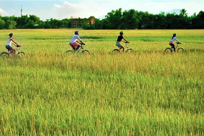 Hoi An Bicycle And Cooking Class Tour - How to Book and Contact Details