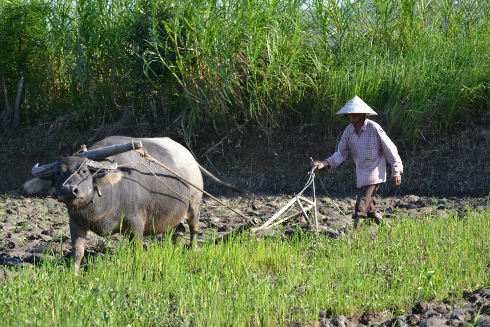 Hoi An Countryside Bicycle Tour : 25 Km Real Vietnam - Last Words