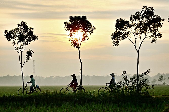 Hoi An Countryside By Bike - Safety Measures and Recommendations