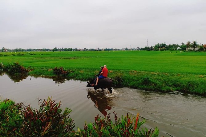 Hoi an Countryside Tour With Bamboo Basket Boat Rowing , Buffalo Ride, Farming - Tour Inclusions