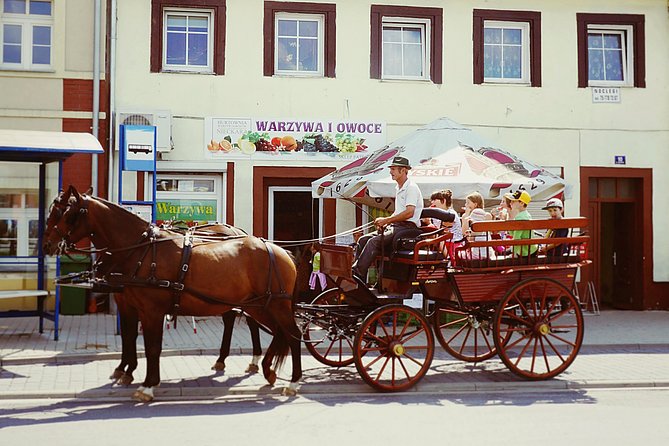 Horse and Carriage Tours With Polish Traditional Food Experience - Tour Pricing
