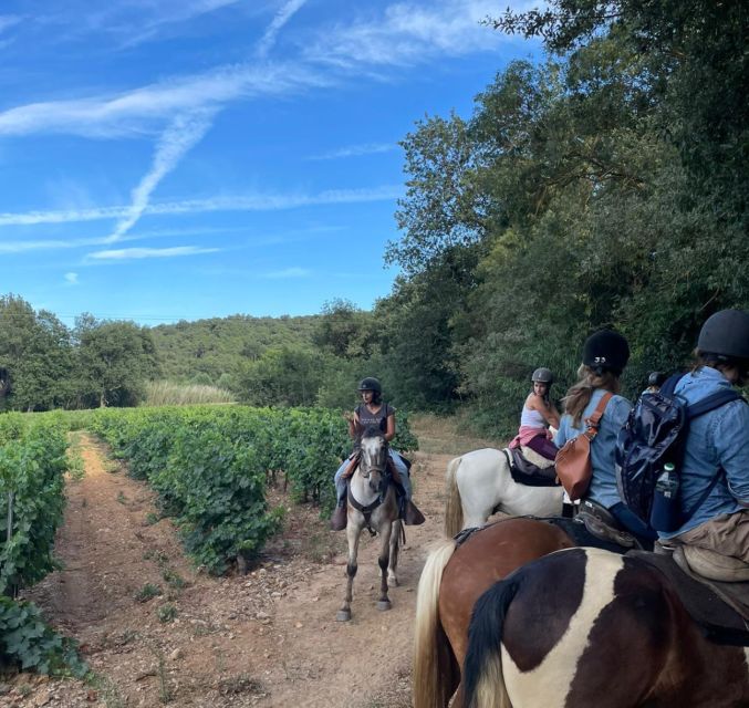 Horse Back Riding + Wine Tasting in the Maures Forest - Booking Information