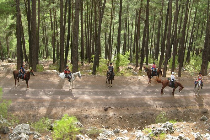 Horse Riding Tour in Bodrum With Hotel Pick up - Cancellation Policy