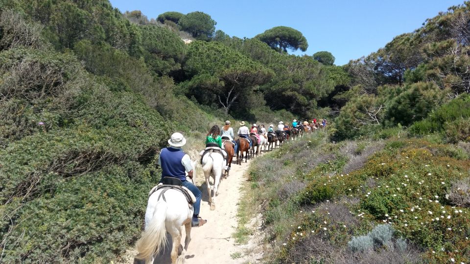 Horse-Riding Tour in Doñana National Park - Pricing Information