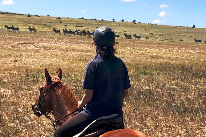 Horse Safari & Beach Ride Western Cape - Support & Assistance