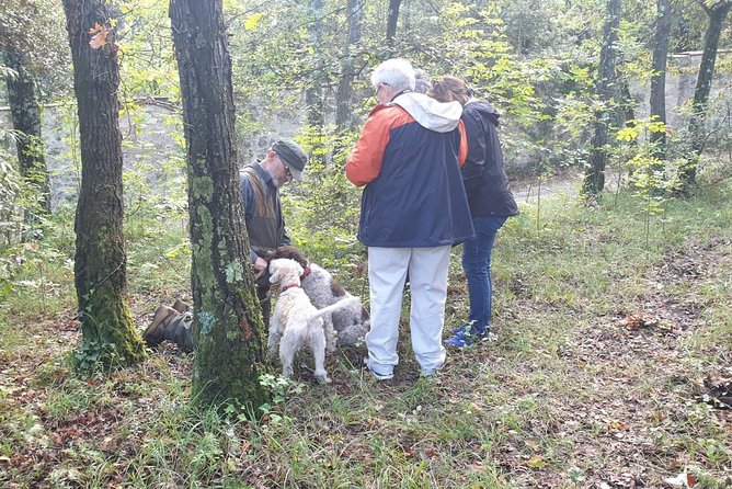 Horseback Ride, Truffle Hunt and Lunch (Or Dinner)De-Luxe - Truffle Hunt Experience Details