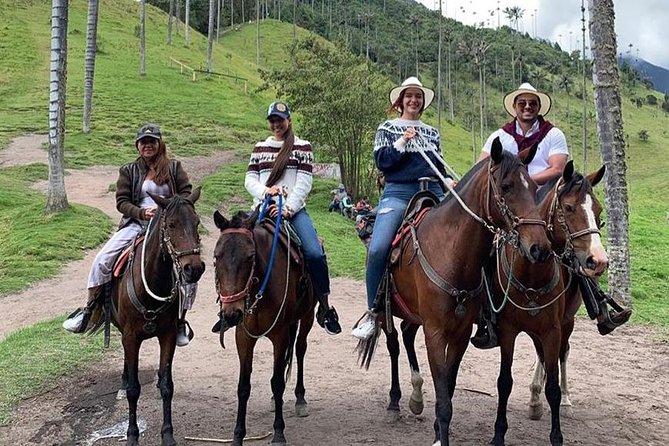 Horseback Riding and Excursion in Cocora Valley