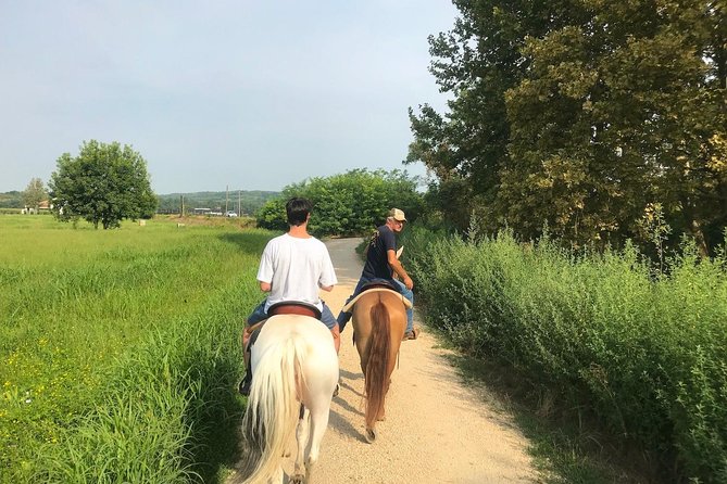 Horseback Riding and Wine Tasting - Expectations and Accessibility