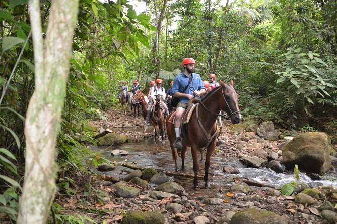 Horseback Riding to La Fortuna Waterfall - Weather Considerations