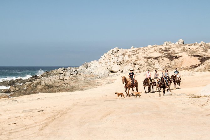 Horseback Riding Tour in Cabo San Lucas - Safety Measures