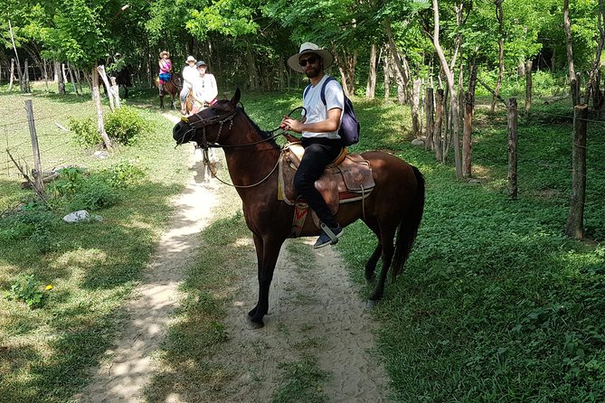 Hot Springs Horseback Riding Adventure - Traveler Reviews