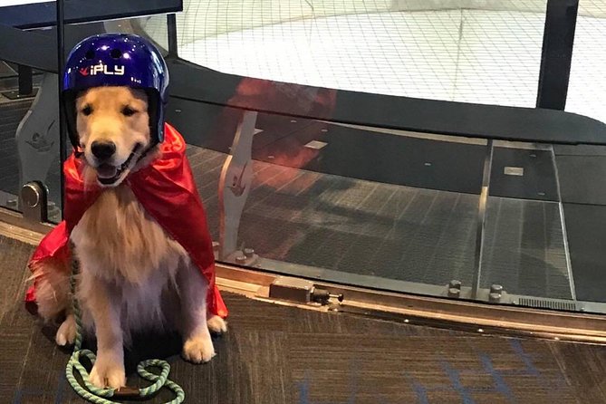 Houston Woodlands Indoor Skydiving With 2 Flights & Personalized Certificate - Pricing and Customer Feedback