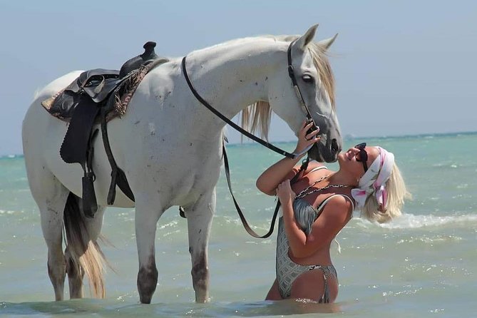 Hurghada: 2 Hours Camel and Horse Riding Adventure on The Sea. - Additional Information