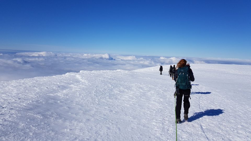 Hvannadalshnjúkur: Hike the Highest Summit in Iceland - Customer Reviews and Testimonials