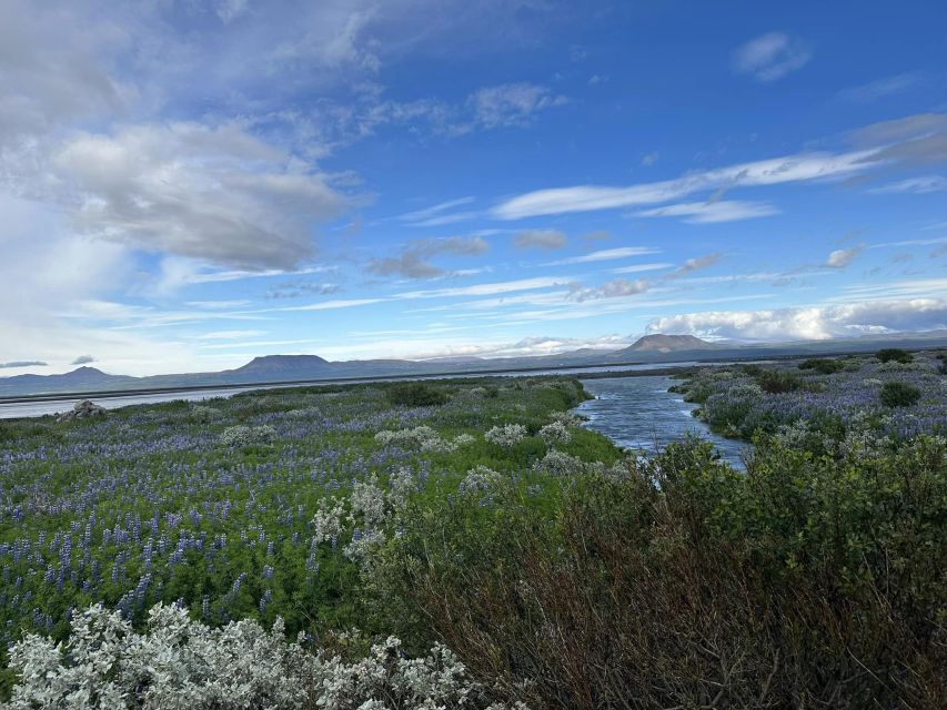 Iceland Atv. Atv Guided Trip Close to Dettifoss Iceland - Inclusions